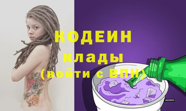 индика Горняк