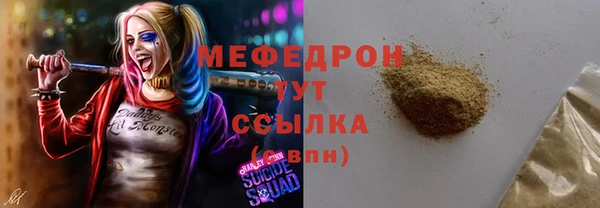 индика Горняк