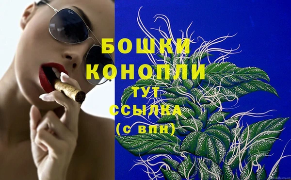 индика Горняк