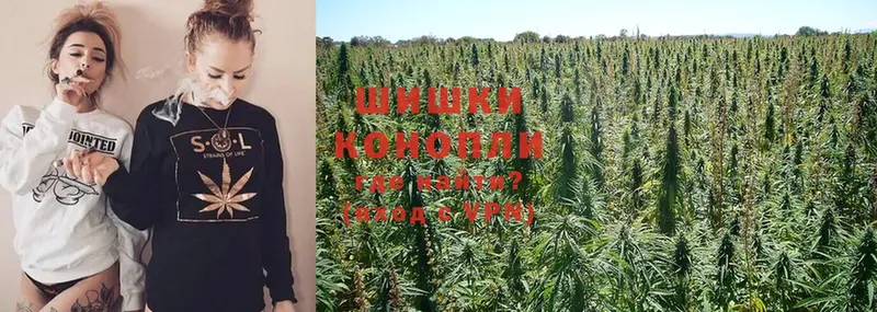 Канабис OG Kush  цена наркотик  kraken маркетплейс  Алзамай 